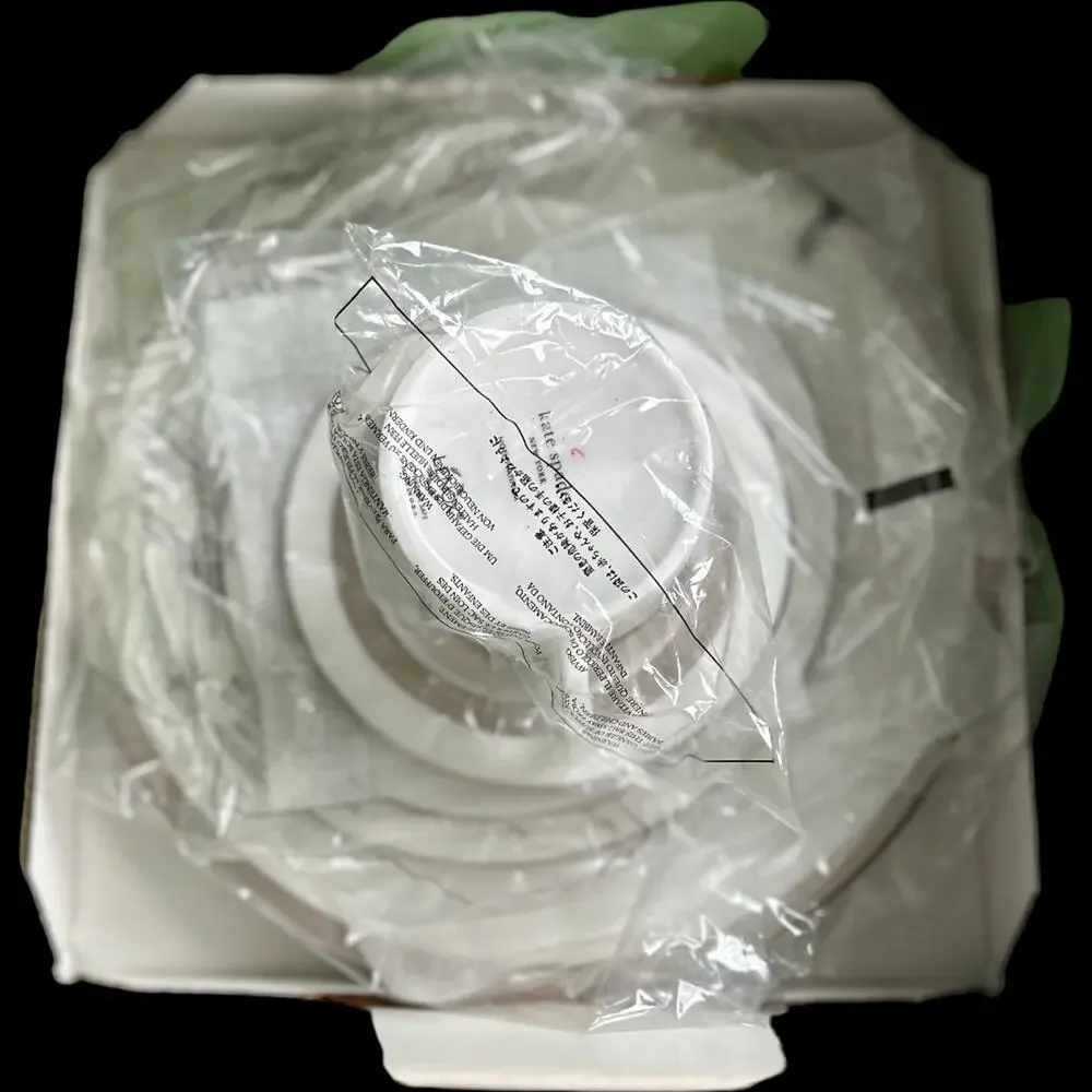 RARE NIB Kate Spade For Lenox  Noel Platinum 5 Piece Place Setting China Set